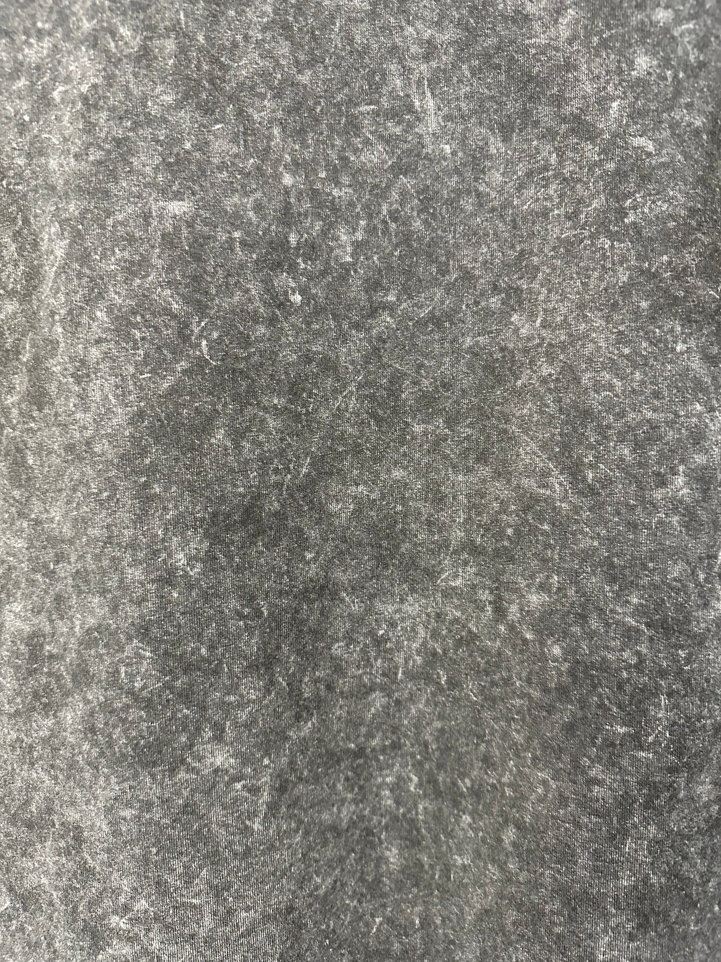 Gentle Art Oversized Tee - Washed